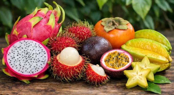 Exotic Fruits Plants — Browse 17 varieties